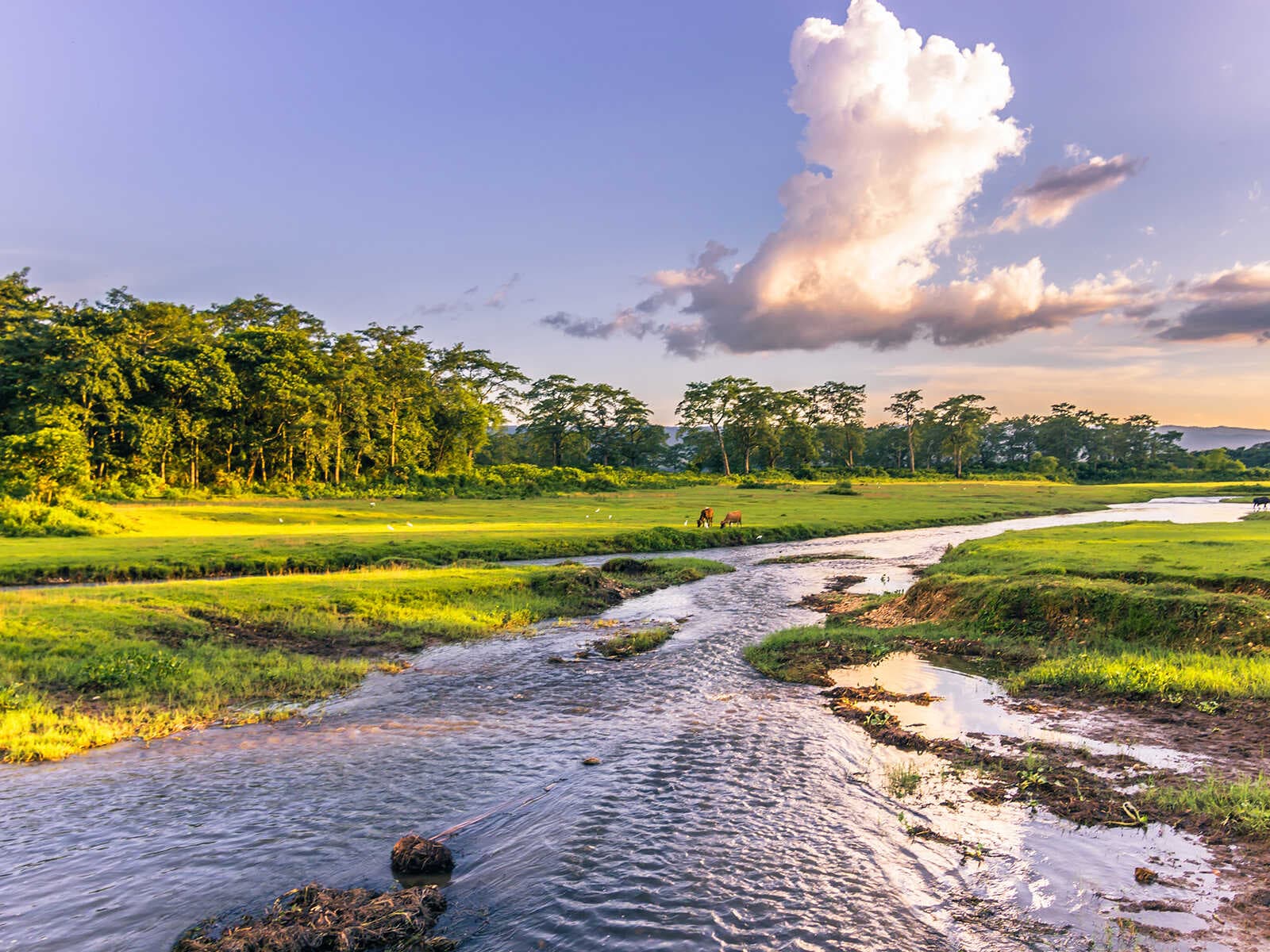 Chitwan National Park