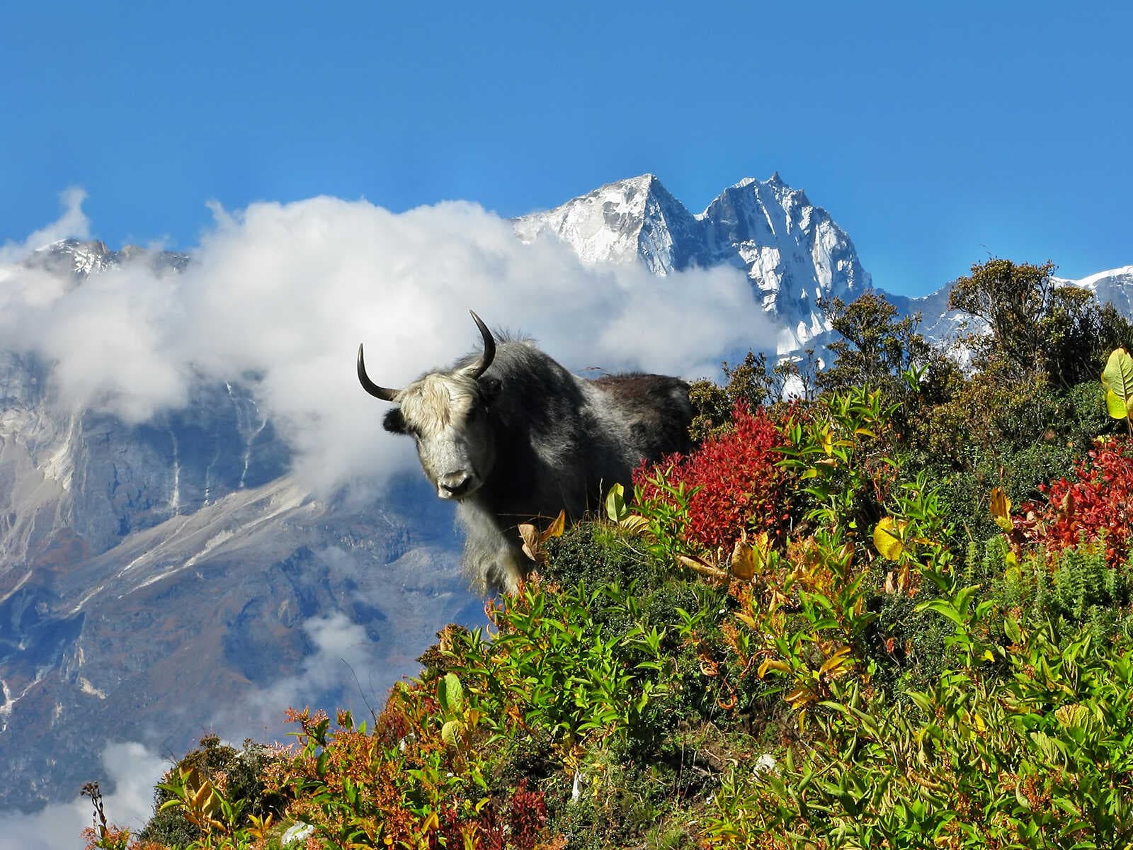 Sagarmatha National Park