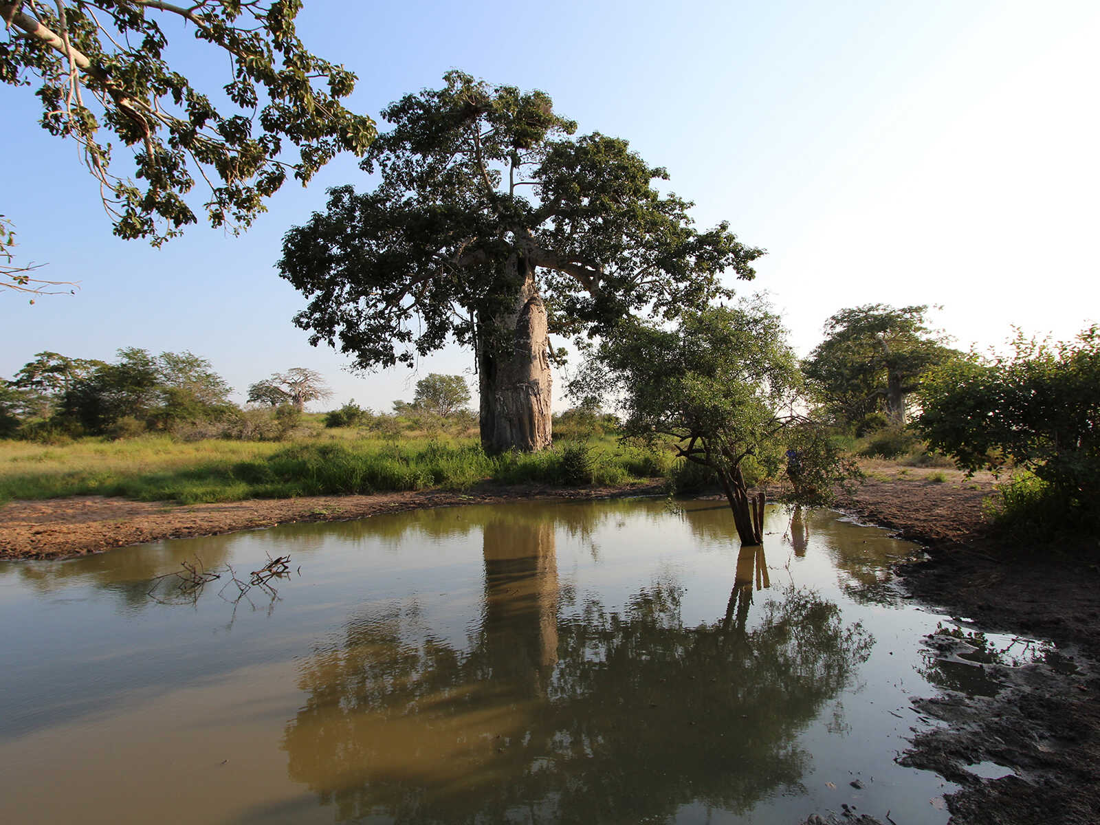 Parque Nacional do Quicama 2