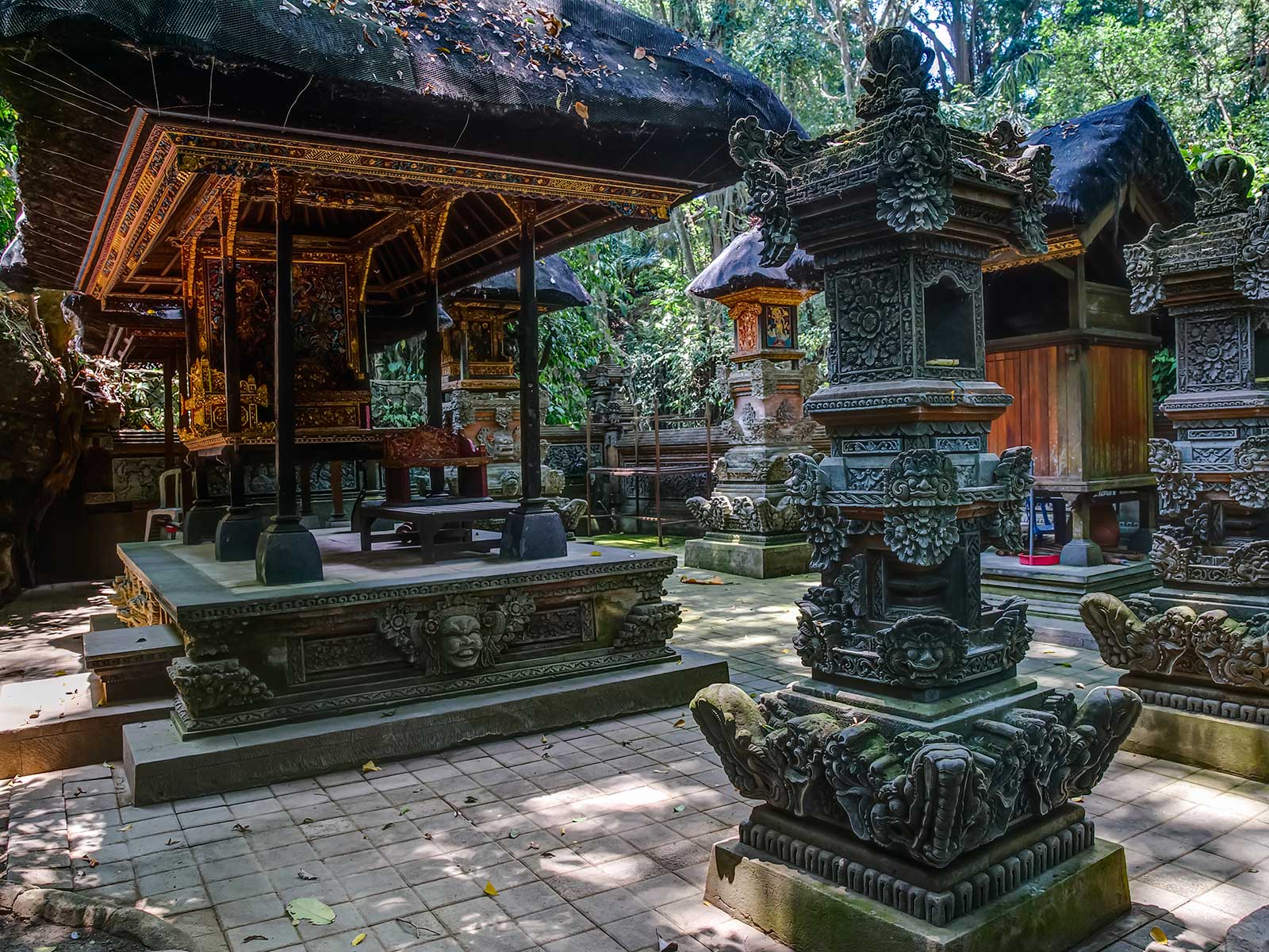 Ubud Monkey Forest 1