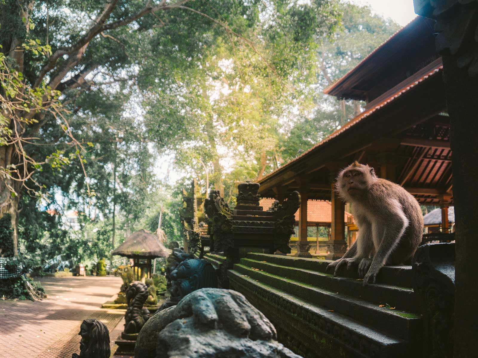 Ubud Monkey Forest