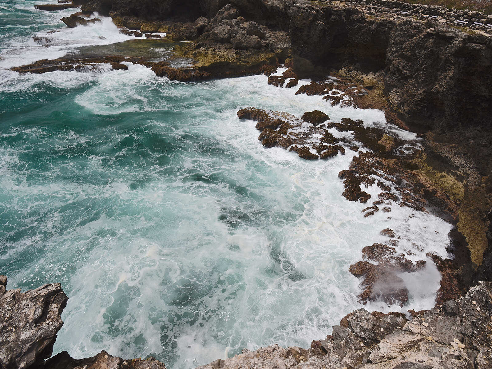 Animal Flower Cave 1
