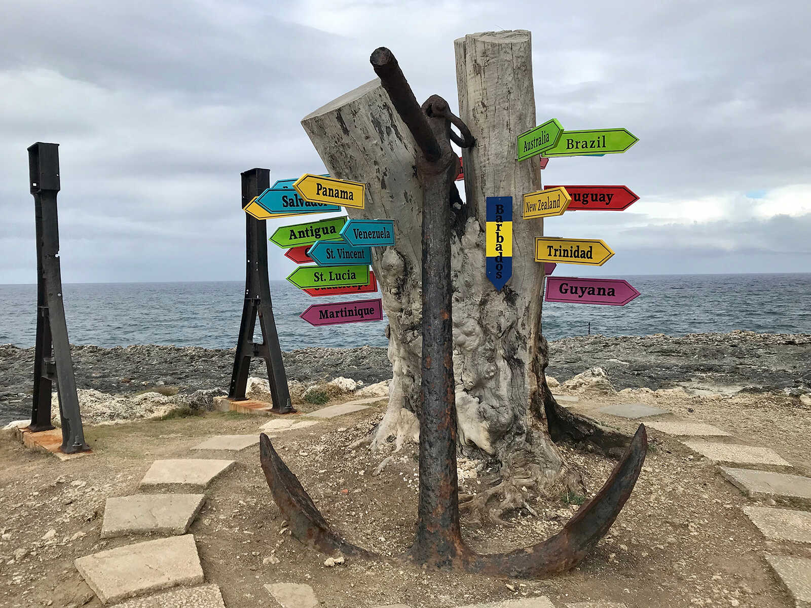 Animal Flower Cave 2