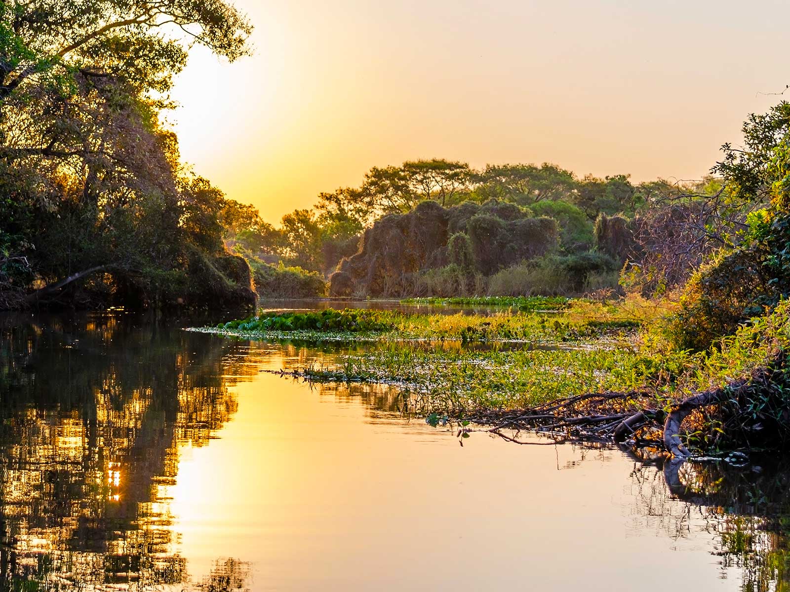 Pantanal | Mustseespots.com