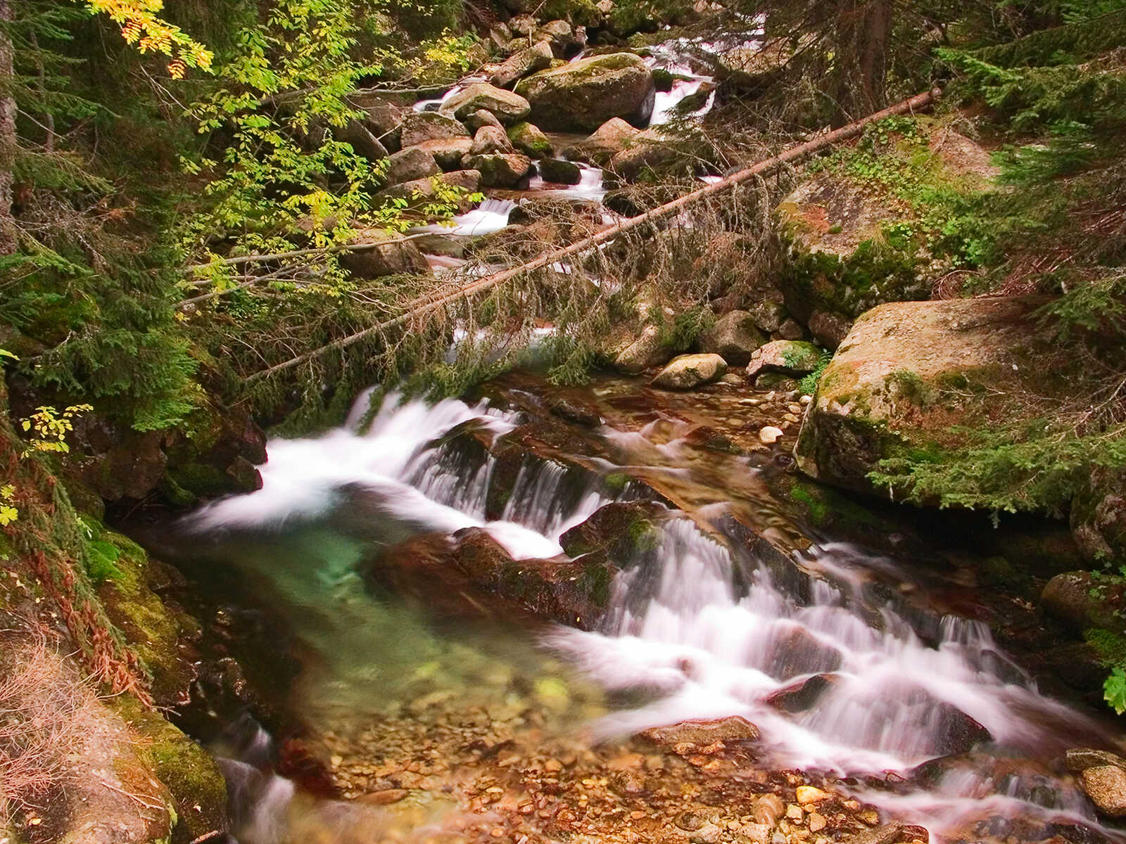 Additional view 2 of Pirin National Park