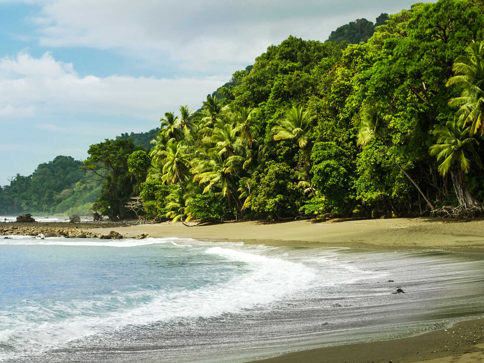Corcovado National Park 1