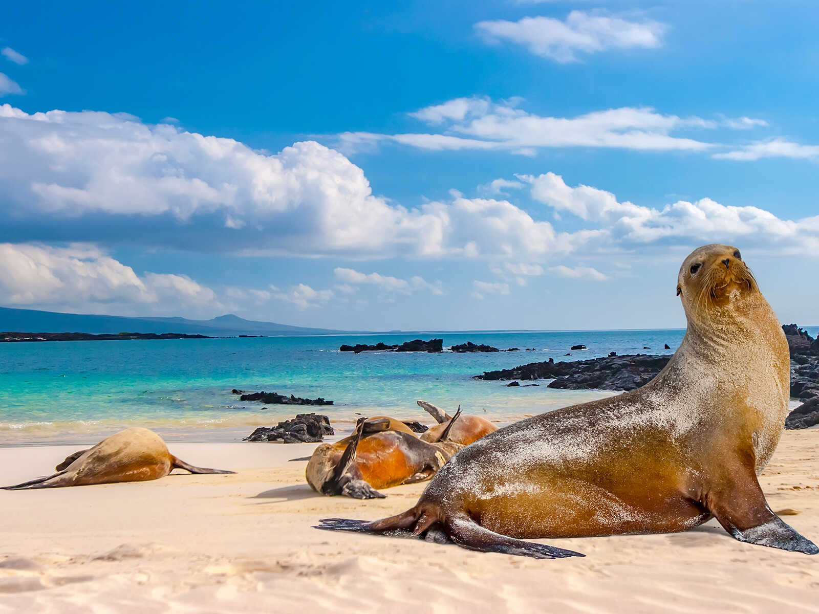 Galápagos Islands 2