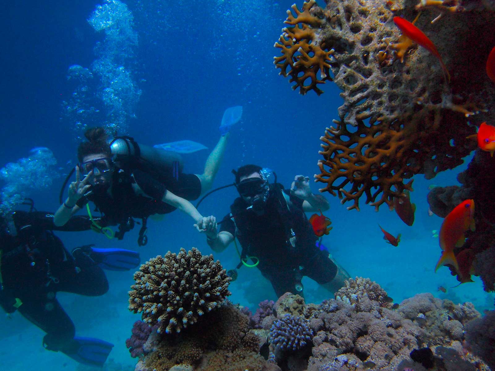 Red Sea Diving Hurghada