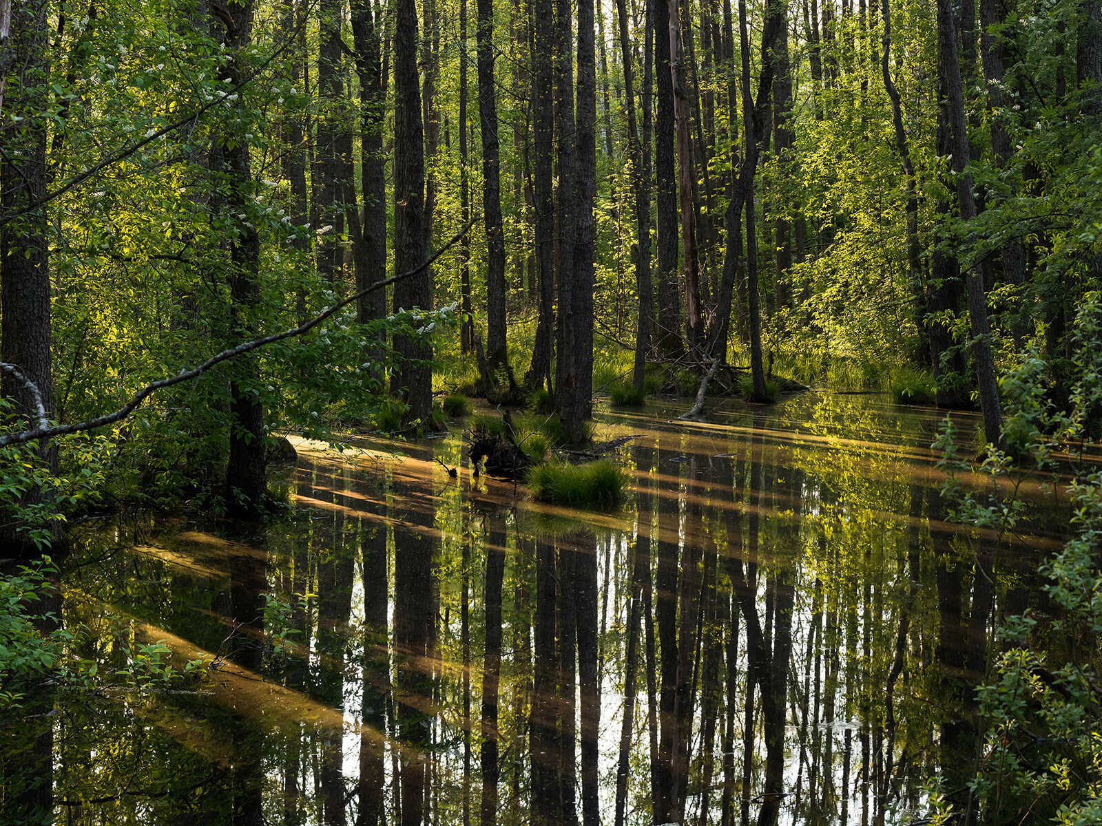 Lahemaa National Park | Mustseespots.com