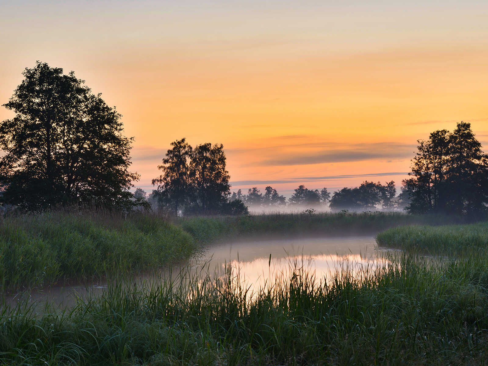 Matsalu National Park