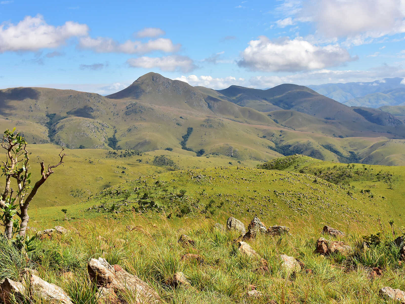 Additional view 2 of Hlane National Park
