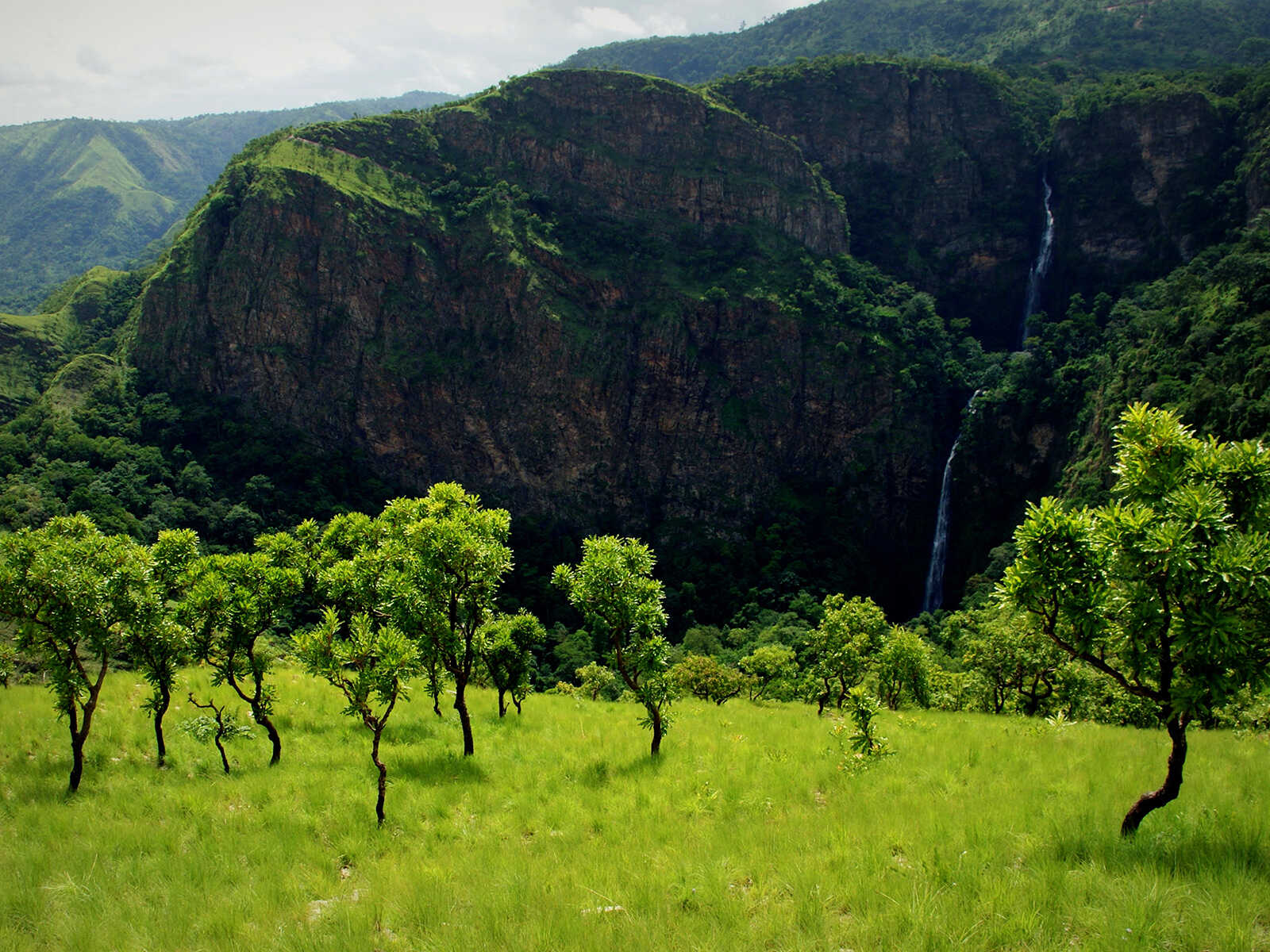 Wli Waterfalls