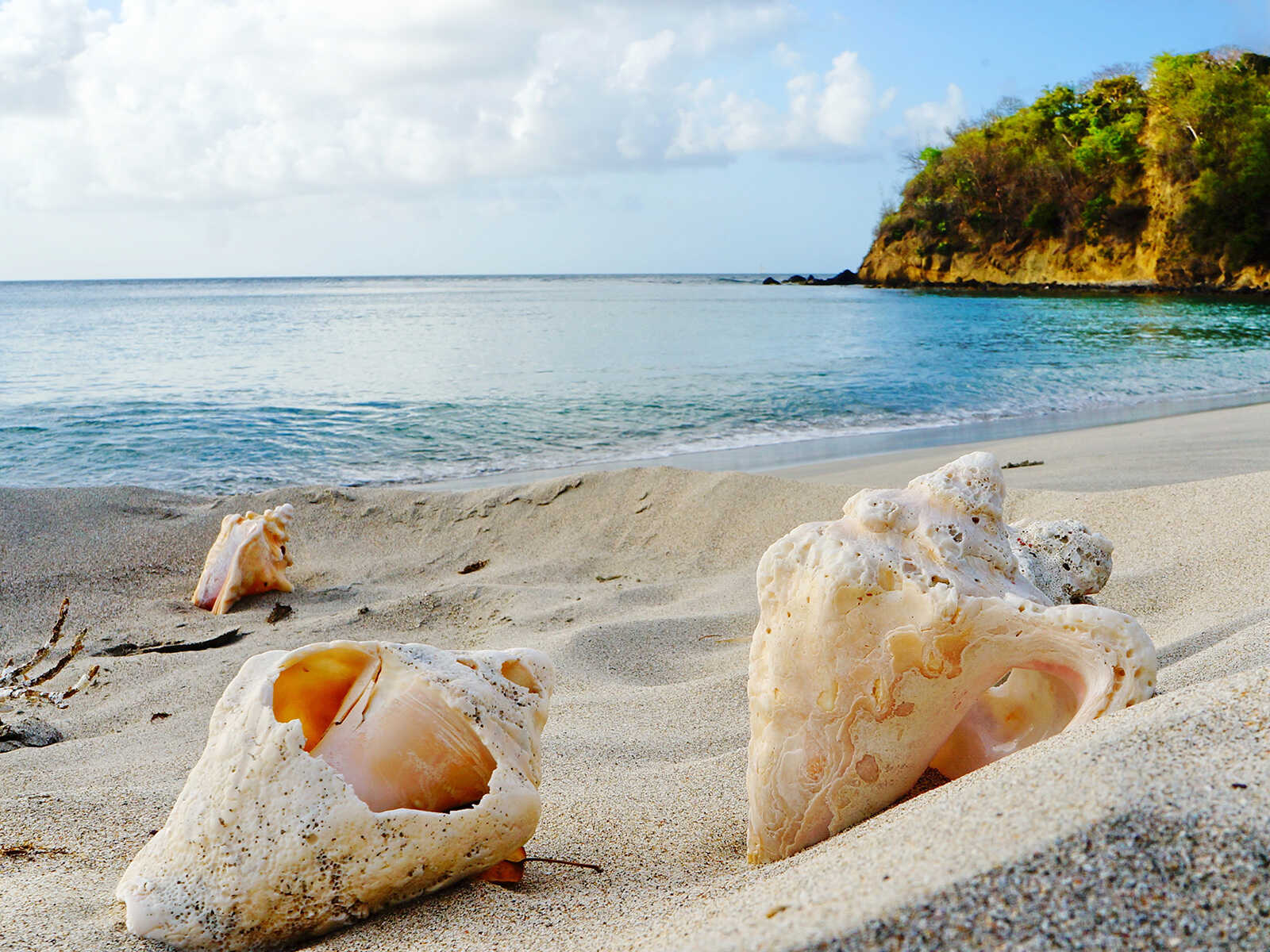 Carriacou