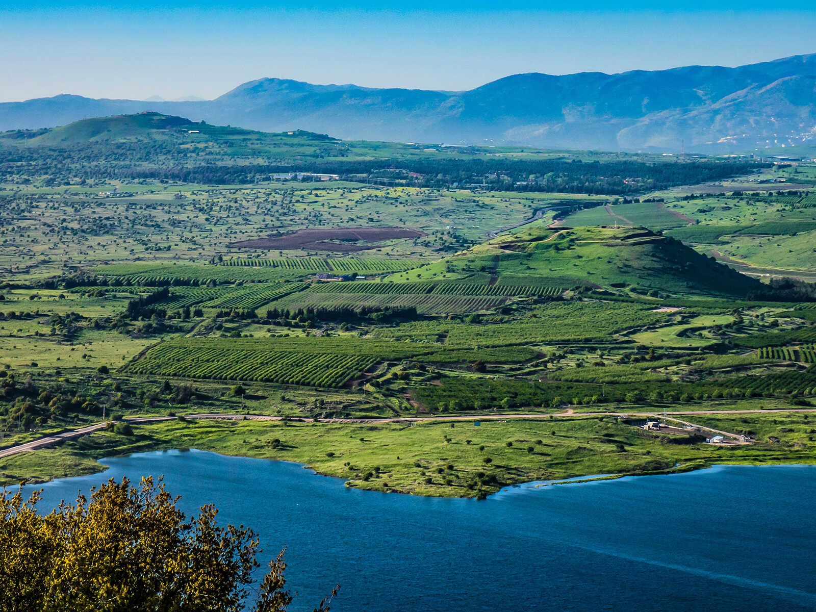 Golan Heights