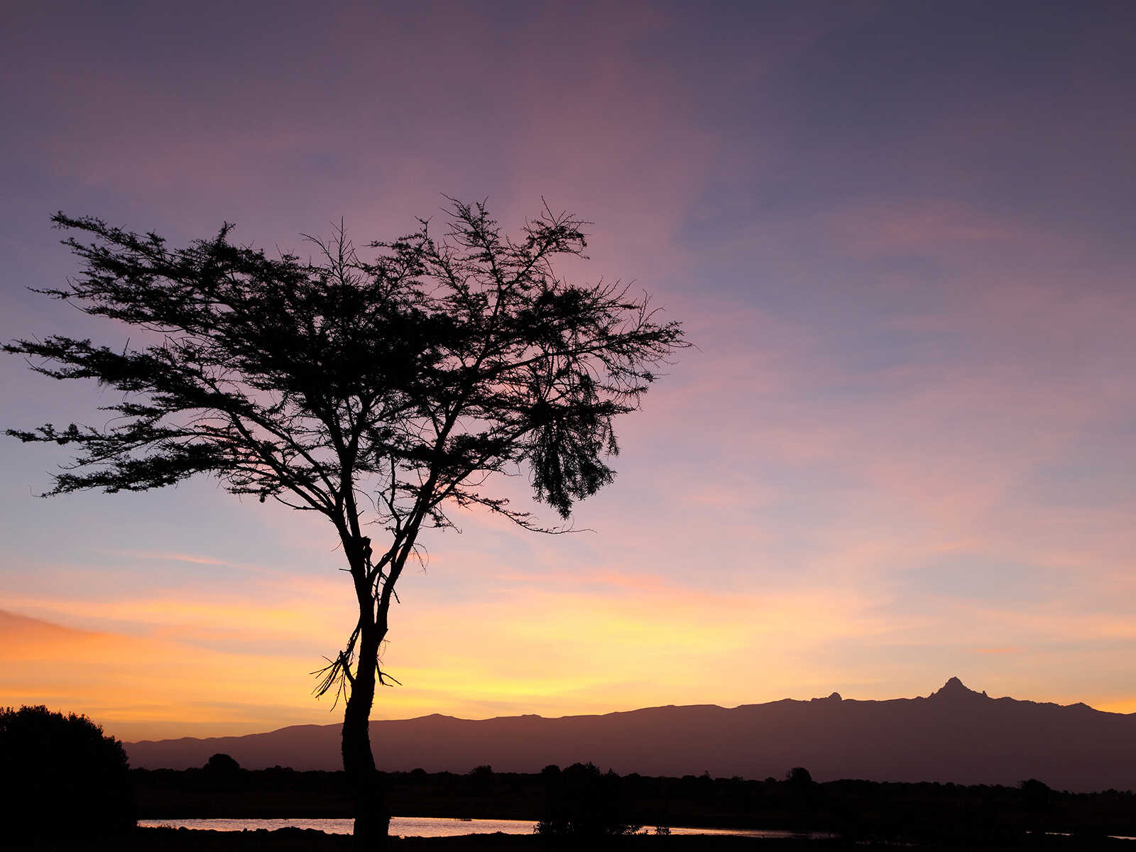 Additional view 2 of Ol Pejeta Conservancy