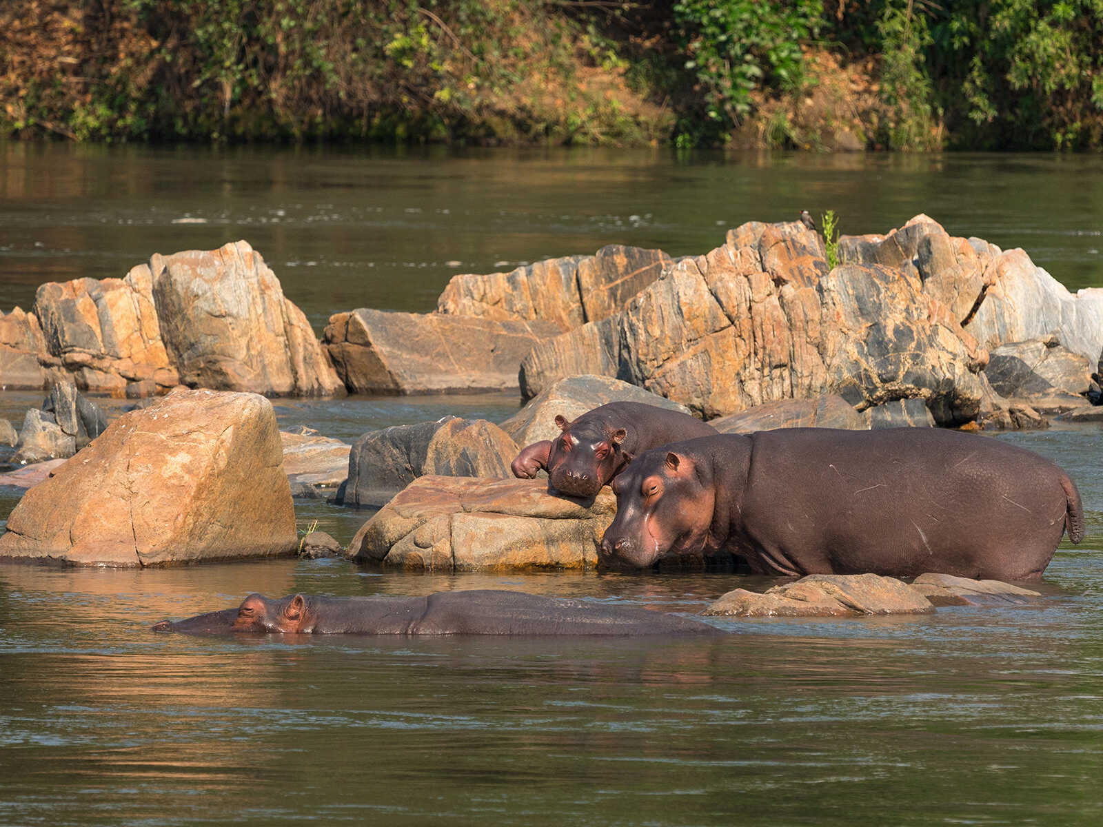 Majete Wildlife Reserve 2