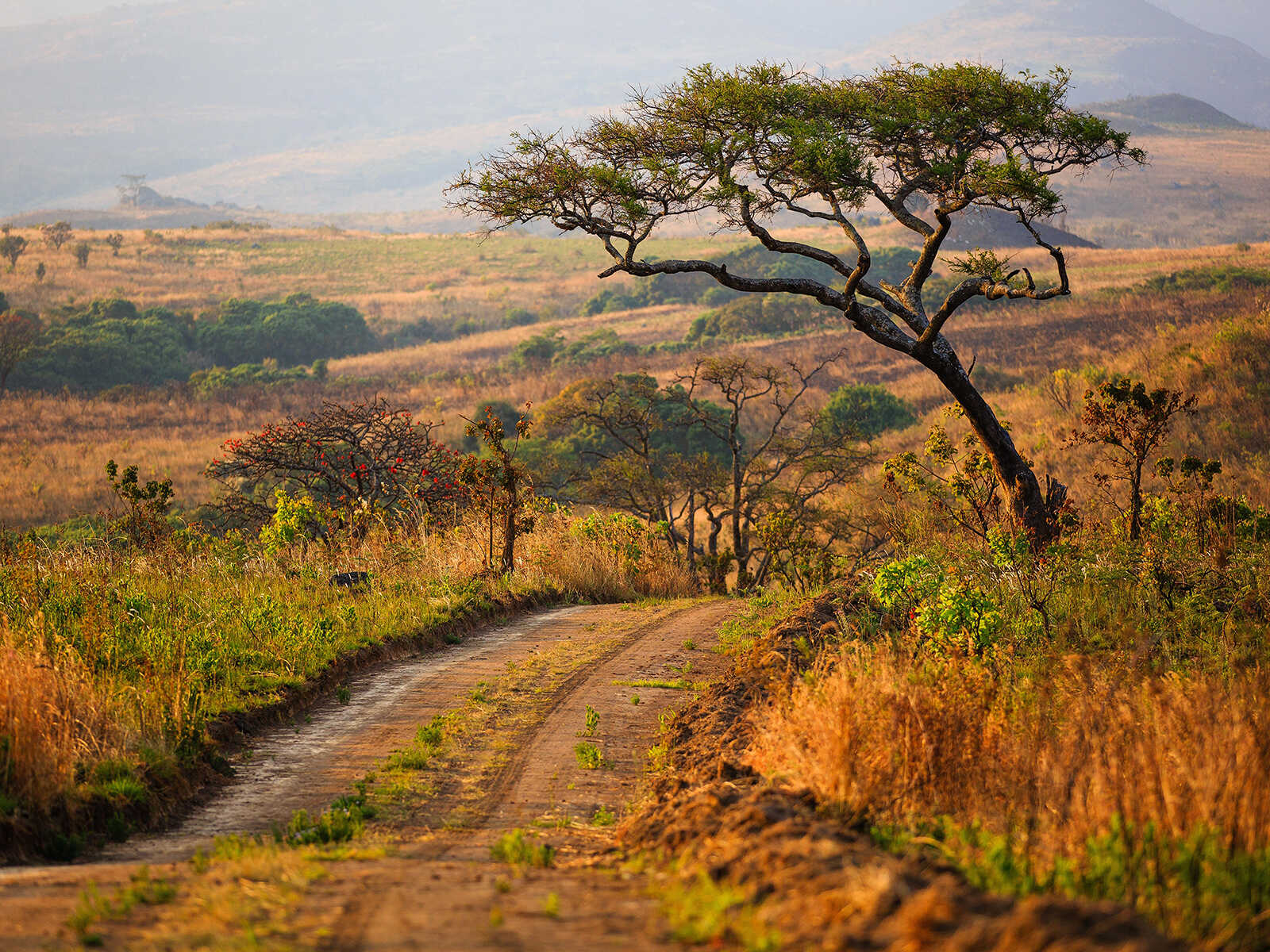 Nyika National Park