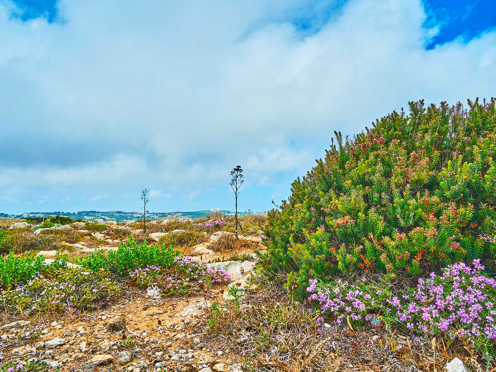 Additional view 1 of Chateau Buskett (Buskett Gardens)