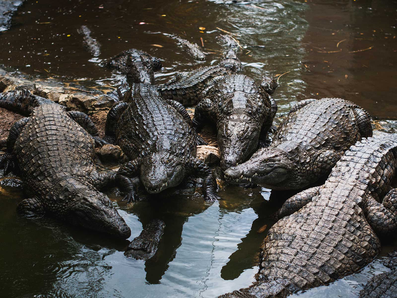 La Vanille Nature Park 1