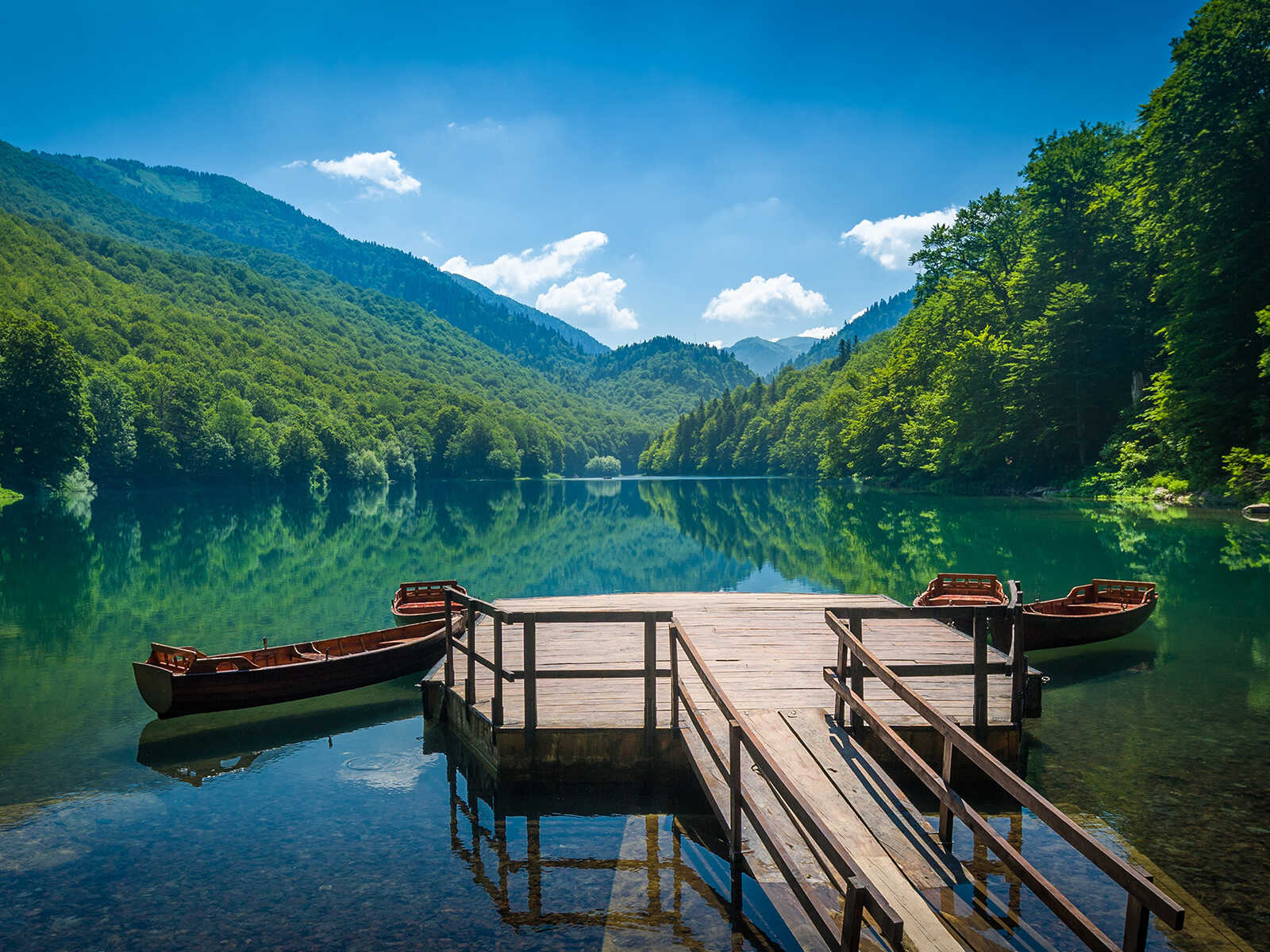 Biogradska Gora