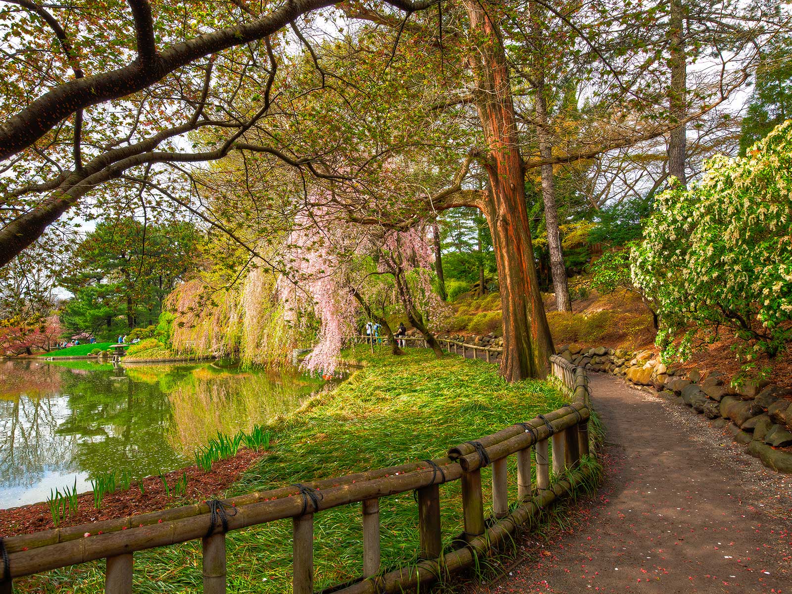 Brooklyn Botanic Garden