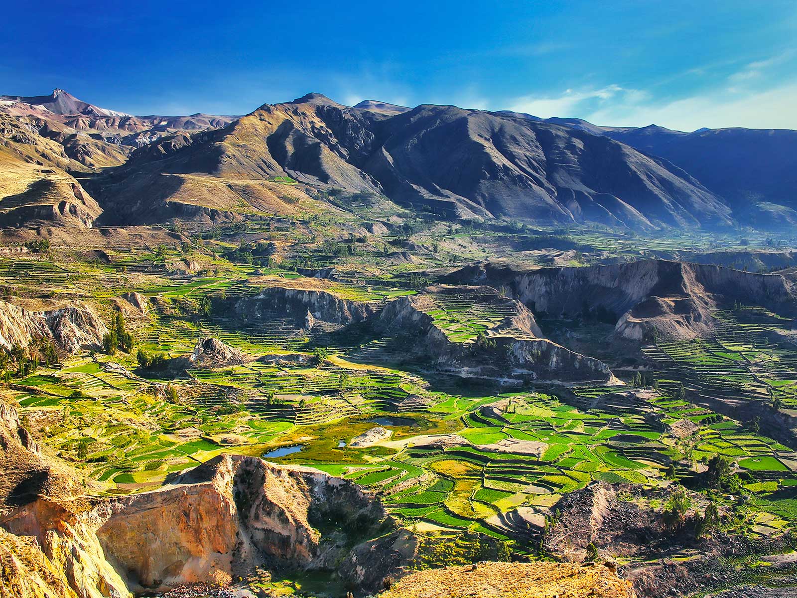 Colca Canyon