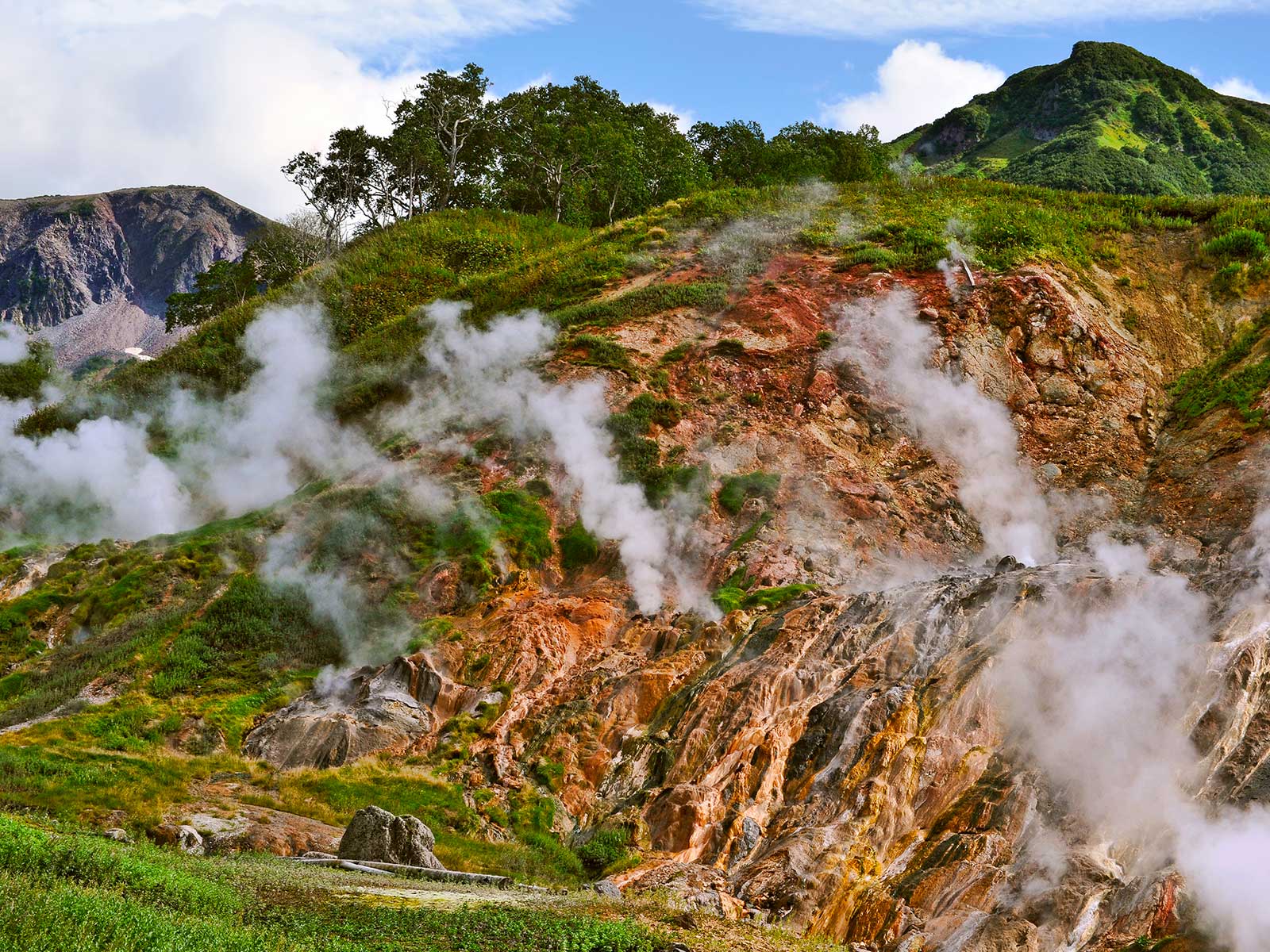 Valley of Geysers