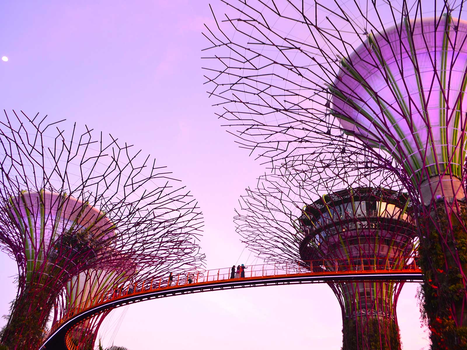 Additional view 1 of Gardens by the Bay