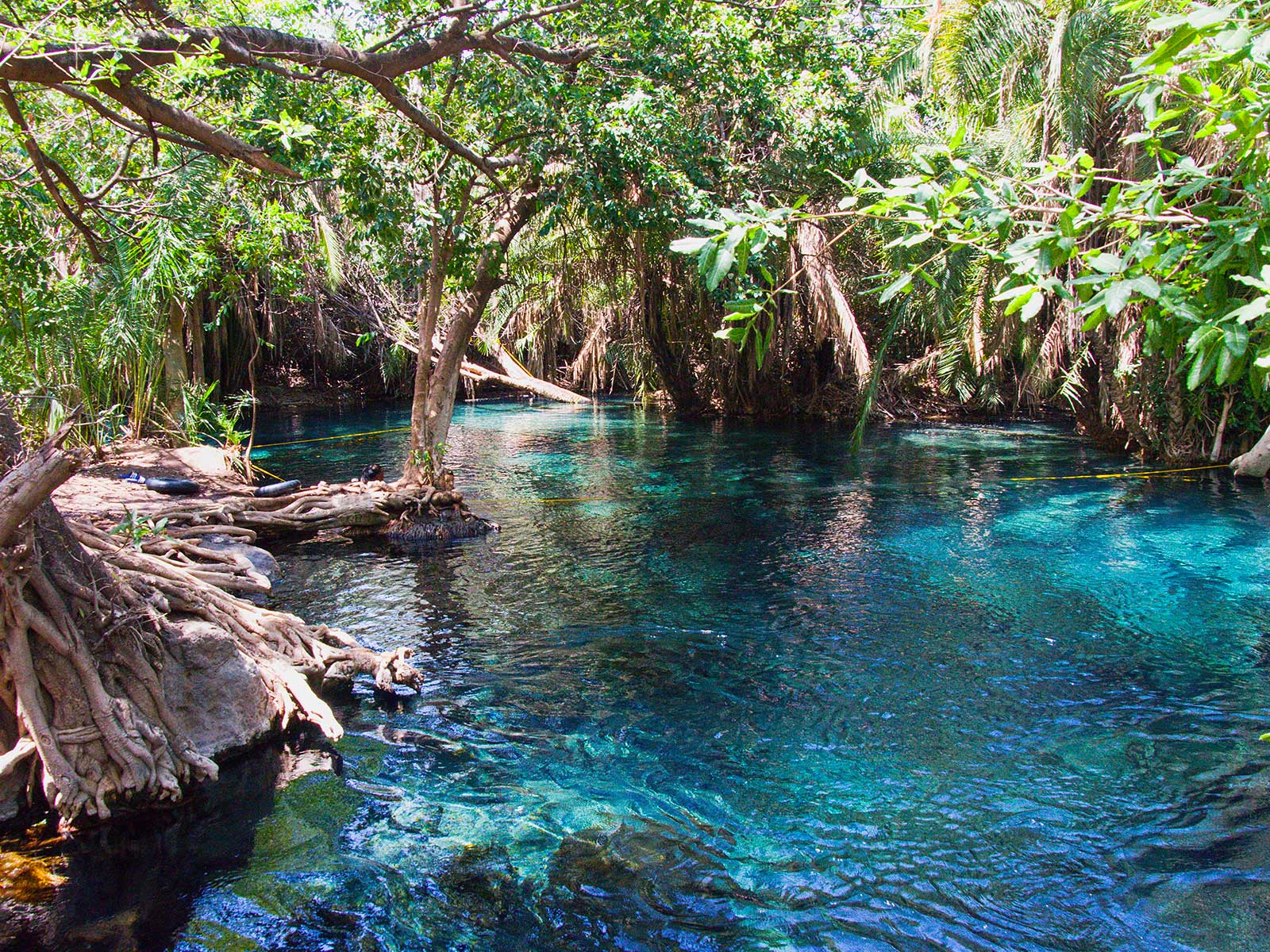 Kikuletwa Hotsprings