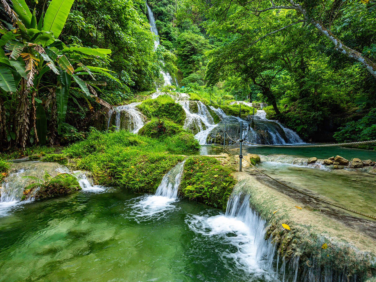 Evergreen Cascades Waterfall